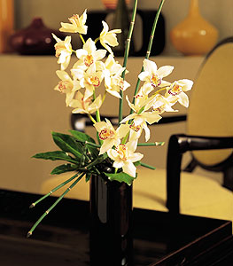 Hatay kaliteli taze ve ucuz iekler  cam yada mika vazo ierisinde dal orkide