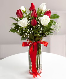 5 kırmızı 4 beyaz gül vazoda  Hatay İnternetten çiçek siparişi 