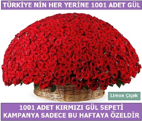 1001 Adet kırmızı gül Bu haftaya özel  Hatay internetten çiçek siparişi 