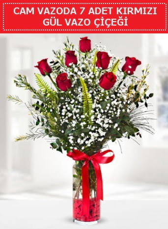Cam vazoda 7 adet kırmızı gül çiçeği  Hatay çiçek siparişi vermek 