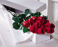  Hatay uluslararası çiçek gönderme  özel kutuda 12 adet gül