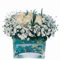 mika ve beyaz gül renkli taslar   Hatay uluslararası çiçek gönderme 