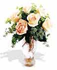  Hatay çiçek servisi , çiçekçi adresleri  6 adet sari gül ve cam vazo