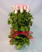 13 adet pembe gül silindirde   Hatay online çiçek gönderme sipariş 