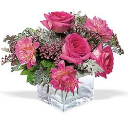  Hatay İnternetten çiçek siparişi  cam içerisinde 5 gül 7 gerbera çiçegi