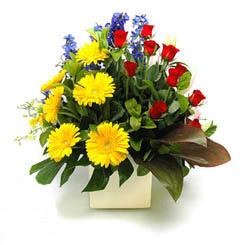  Hatay online çiçekçi , çiçek siparişi  9 adet gül ve kir çiçekleri cam yada mika vazoda