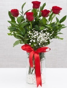cam vazo içerisinde 5 adet kırmızı gül  Hatay İnternetten çiçek siparişi 