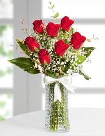 Cam vazoda 7 adet kırmızı gül  Hatay 14 şubat sevgililer günü çiçek 